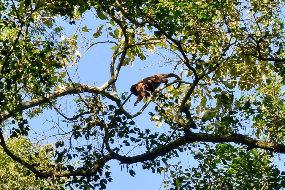 Sao Paulo Private Half Day Ecotour - Booking Information