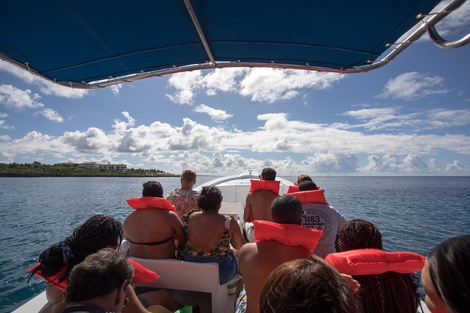 Saona Island Day Trip From Punta Cana With Lunch and Open Bar - Guest Feedback and Insights