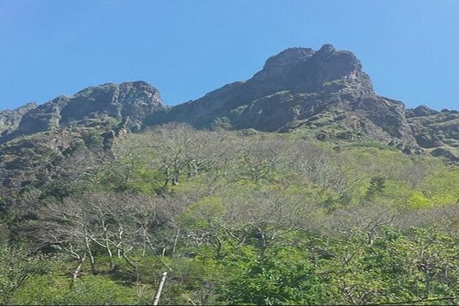 Scenic Route - Nuns Valley Tour - Scenic Viewpoints