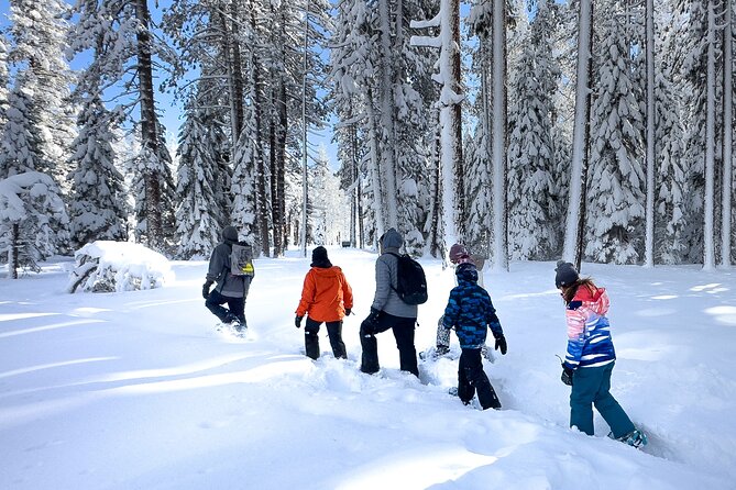 Scenic Snowshoe Adventure in South Lake Tahoe, CA - Guest Feedback and Ratings