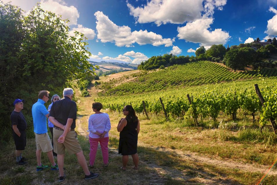 Siena: Educational Wine Tour & Tasting - Meeting Information