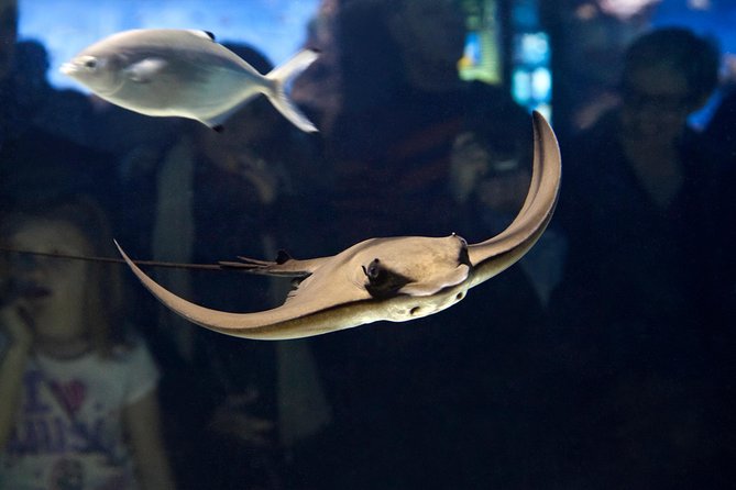 Skip the Line: Barcelona Aquarium Ticket - Practical Visitor Information