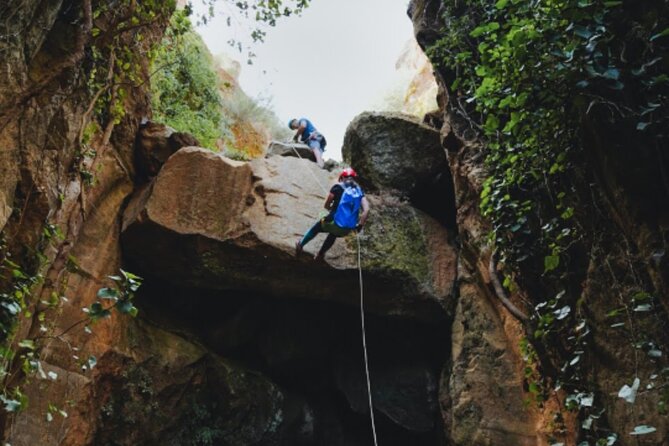 Small-Group Half-Day Canyoning in La Orotava - Cancellation Policy and Pricing