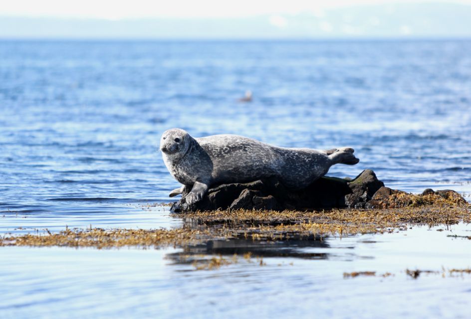 Snæfellsnes: Small-Group Hidden Treasures of The West Tour - Additional Tour Features