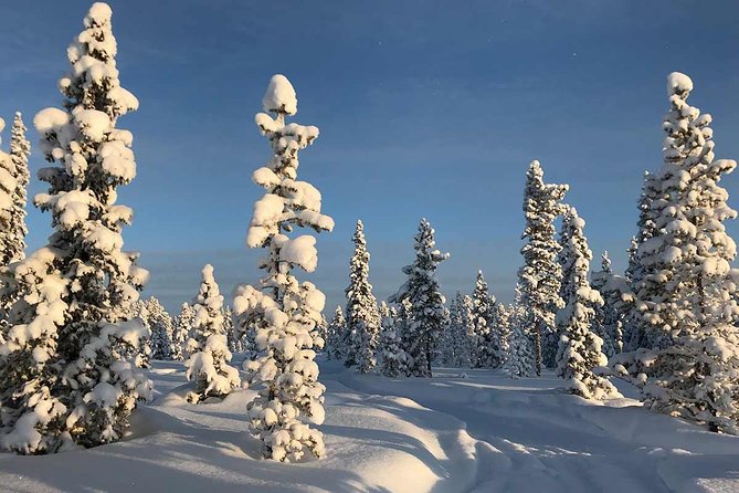 Snowmobile Arctic Adventure - Safety and Accessibility Information