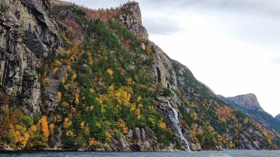 Stavanger: Scenic Fjord Cruise to Lysefjord and Preikestolen - Booking Information