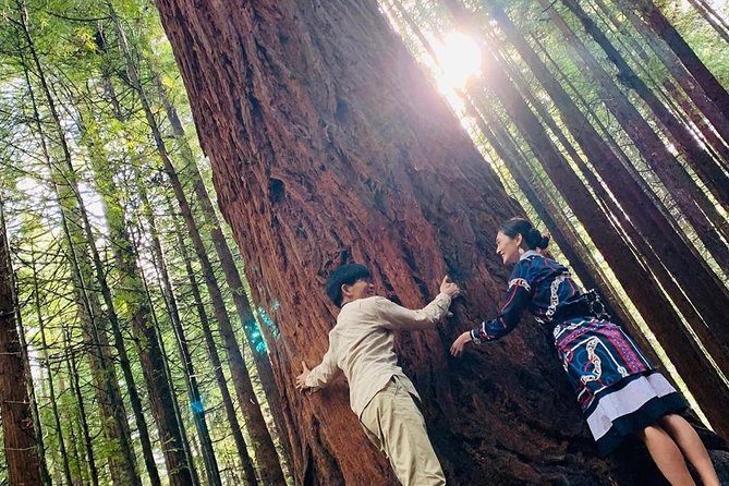 [Stevong] Blue Springs, Redwood Forest, Huka Falls Private Tour - Customer Reviews