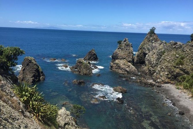 Stunning Auckland East Coast Walk & Wine Private Tour