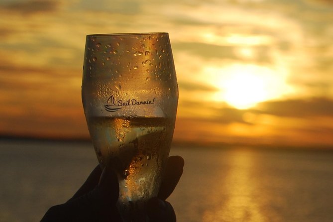 Sunset 3-Hour Cruise From Darwin With Dinner and Sparkling Wine - Accessibility Information