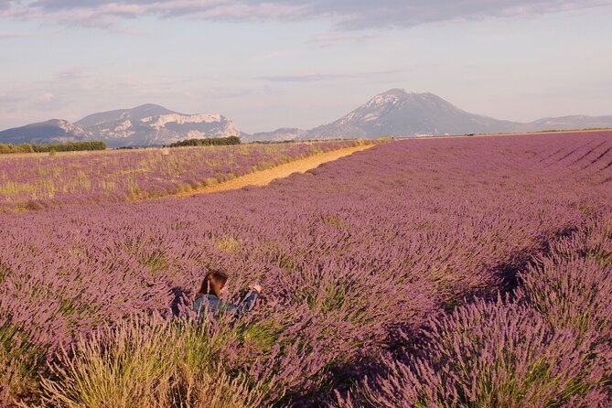 Sunset Lavender Tour in Valensole With Pickup From Marseille - Unique Experiences