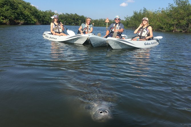 Sunset Tour Mangrove, Dolphins, Manatee #1 Rated in Cocoa Beach - Safety Guidelines