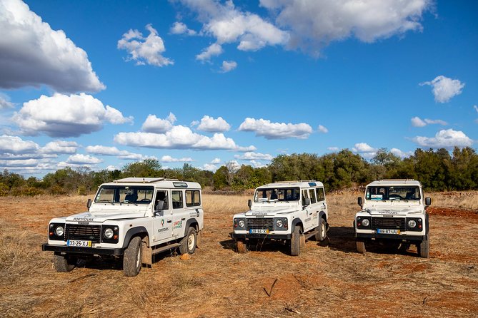 Super Day- Jeep Tour + Arade River Cruise - Health and Safety Considerations