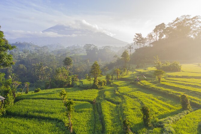 Tanah Lot - Jatiluwih (UNESCO) - Beratan Lake - Hidden Hill (Wanagiri) - FREE WI-FI - Traveler Reviews and Experiences