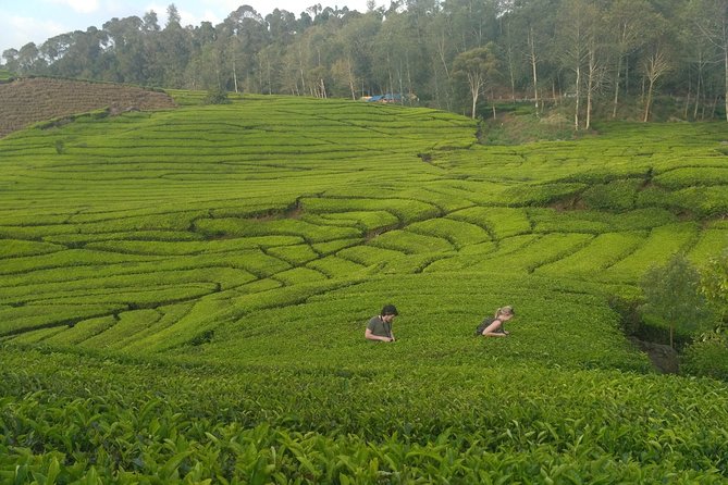 Tangkuban Parahu Volcano North Bandung Private Tour - Pricing and Payment Options