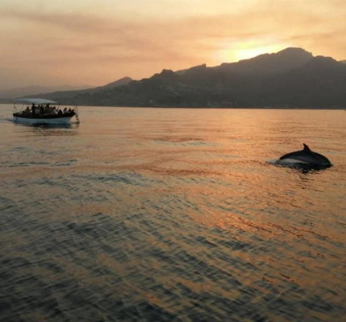 Taormina Coast Tour and Searching Dolphins - What to Bring