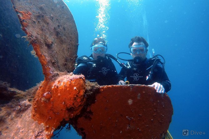 Taormina Scuba Diving Experience - Participant Experience and Reviews