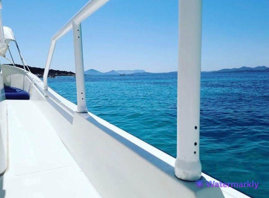 Tavolara Protected Marine Area Boat Tour - Frequently Asked Questions