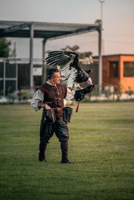 The Court of the Falconer Masseria Mazzetta - What to Expect During Your Visit