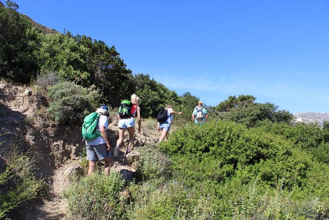 The Valley Walk by Art and Walk - Booking and Cancellation Policy