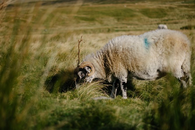 The Yorkshire Dales Tour From Windermere - Accessibility Information