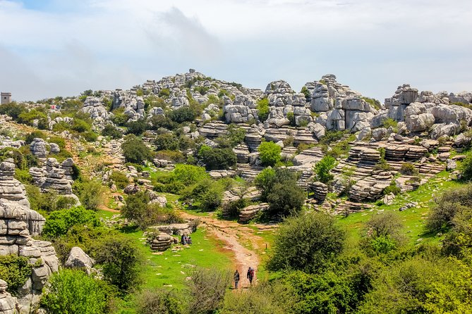 Torcal De Antequera Hiking Tour From Málaga - Customer Experiences and Reviews