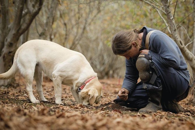 Truffle Hunt & Barolo Wine Tasting - Booking Information