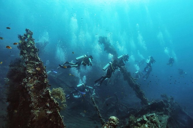 Tulamben Diving Tour Shipwreck USS Bali - Traveler Reviews and Ratings