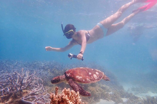 Turtle Tour - Ningaloo Reef Half Day Sea Kayak and Snorkel Tour - Guest Reviews and Experiences