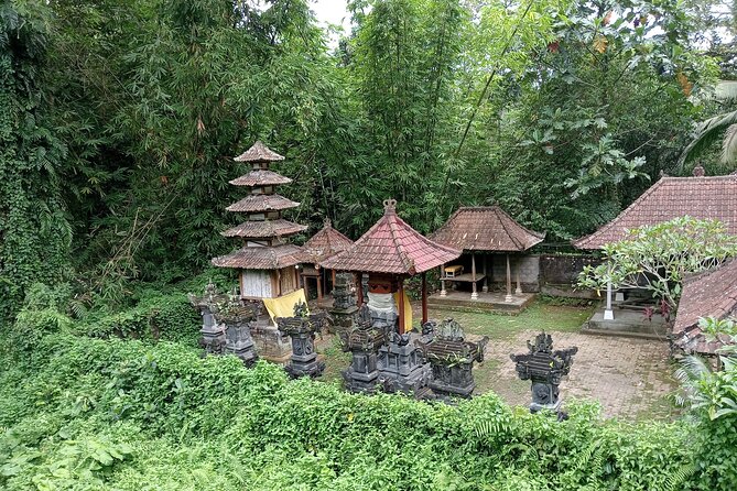 Ubud Tamansari Natural Pool Bali Swing Private Guided Tour - Accessibility Features