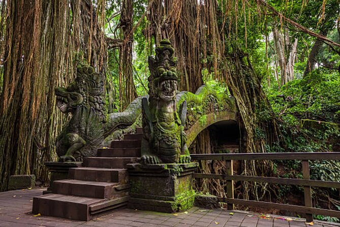 Ubud Tour: Monkey Forest - Temple - Waterfall & Rice Terrace - Tour Inclusions and Benefits