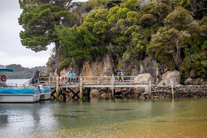 Ulva Island Explorer From Stewart Island - Inclusions and Pricing