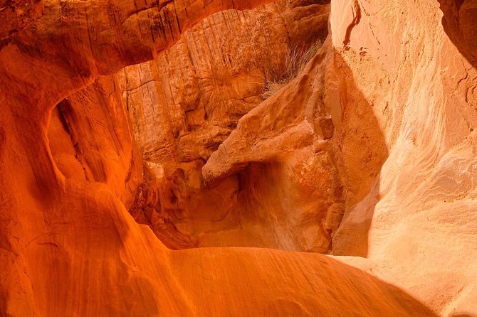 Valley of Fire and Mojave Desert Day Tour From Las Vegas - Ratings and Reviews