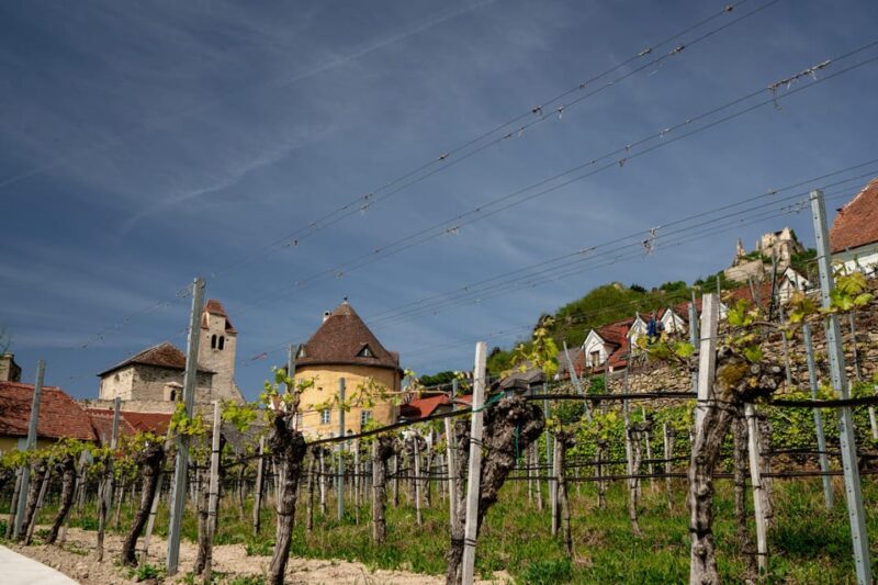 Vienna: Danube Valley 3 Castles and Wine Tasting Tour - Melk Abbey Visit