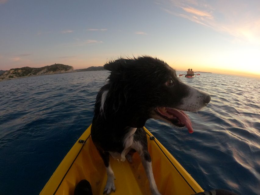 Villasimius: Capo Carbonara Marine Reserve Guided Kayak Tour - Customer Feedback and Ratings