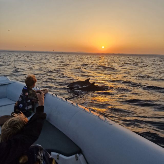 Vrsar: Dolphin Sunrise Adventure With Speedboat - Environmental Commitment