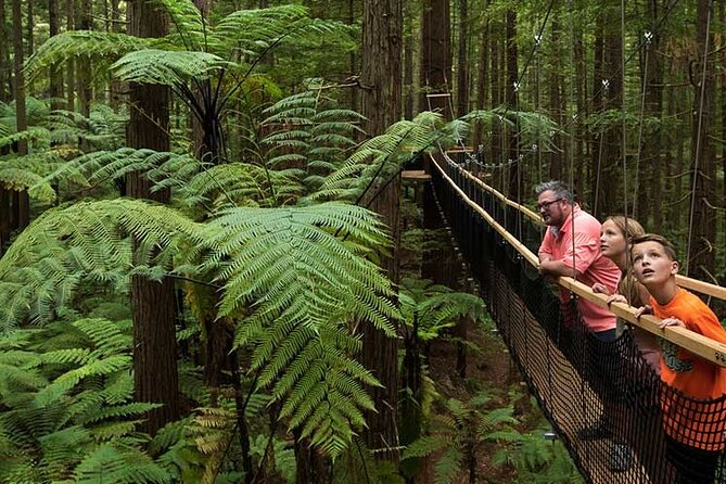 Wai-O-Tapu to Redwoods and Secret Spot - Booking Process