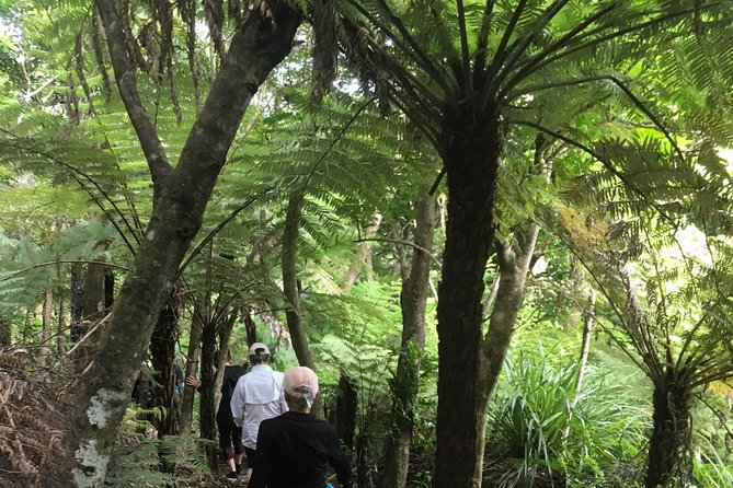 Waiheke Island Private Freedom Te Ara Hura Walk - Activity Guidelines and Accessibility