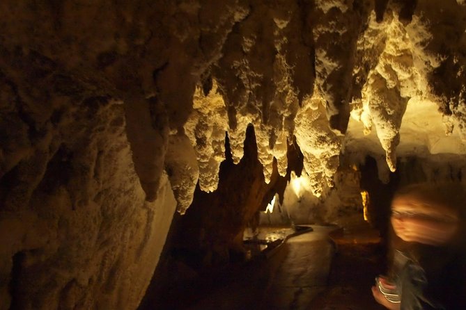 Waitomo Glowworm Caves In a Private Small Group Tour-Auckland. - Booking and Availability