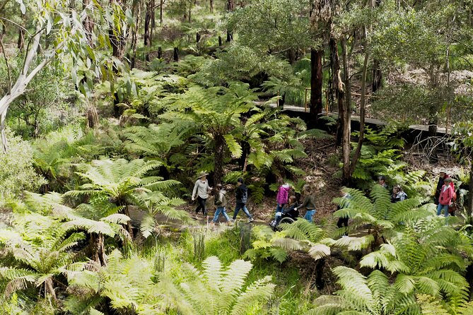 Walk With Wildlife: Guided Tour in Great Ocean Road - Group Size and Experience