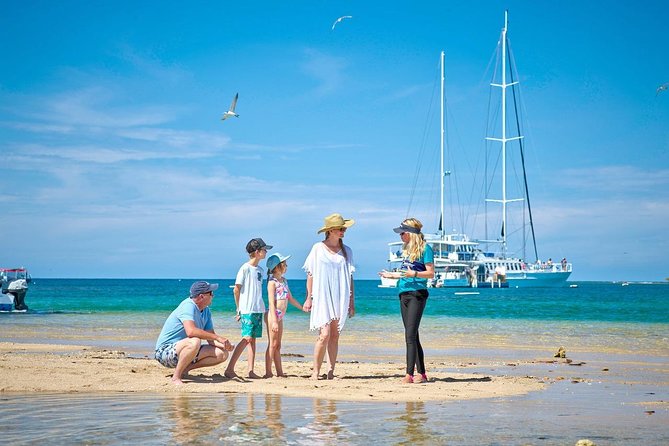 Wavedancer Low Isles Great Barrier Reef Sailing Cruise - Booking Information