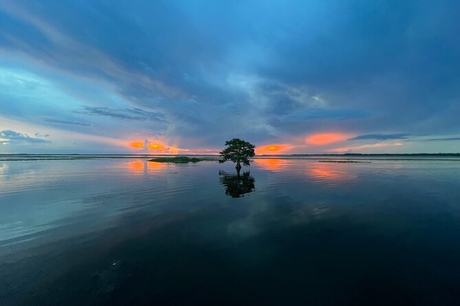 1-Hour Sunset Airboat Ride Near Orlando - Traveler Experiences and Feedback