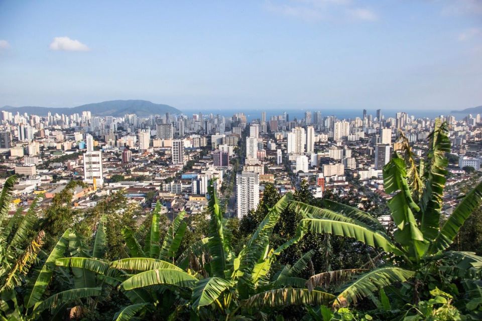 10-Hour Beach Tour Santos: Shared With Tickets & Lunch - Pelé Museum Insights