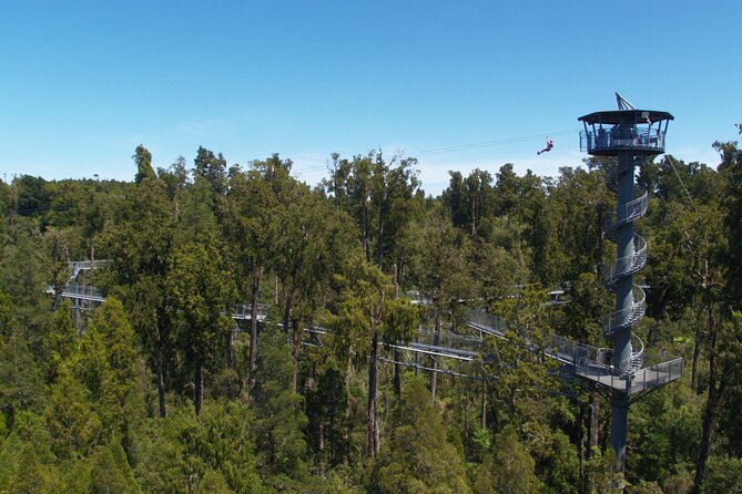 2-Hour Tower Zipline and Walkway Combo Private Guided Activity - Health and Safety Guidelines