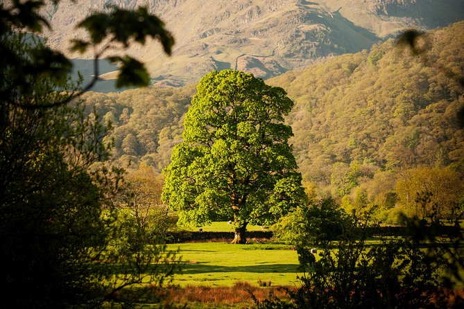 3-Day Lake District Explorer Small-Group Tour From Edinburgh - Preparation and Packing Tips