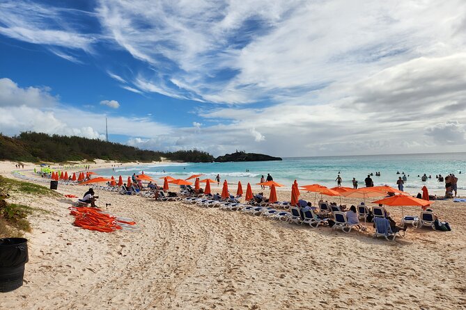 4 Hour Shared Pink Beach Excursion in Bermuda - Tips for a Smooth Experience