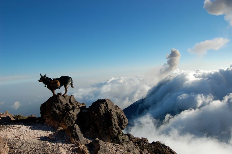 Acatenango Volcano 2-Day Hike - Safety Tips for Hikers