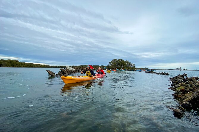 Adelaide Dolphin Sanctuary and Ships Graveyard Kayak Tour - Customer Reviews