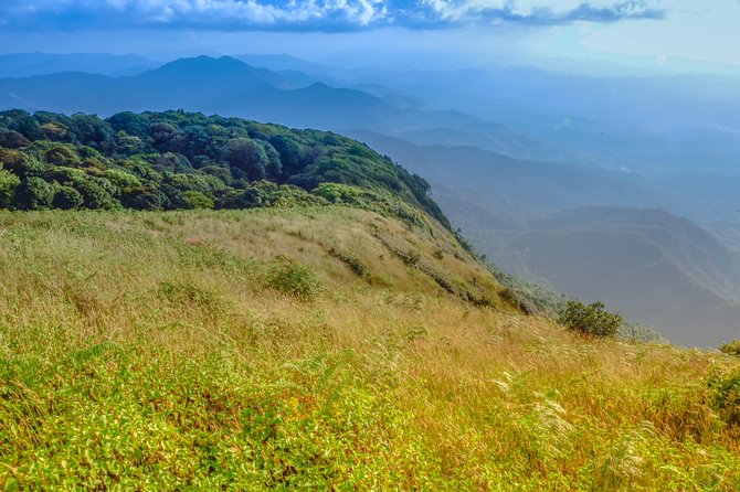 Admiring Natural Heights at Doi Inthanon - Travel Recommendations