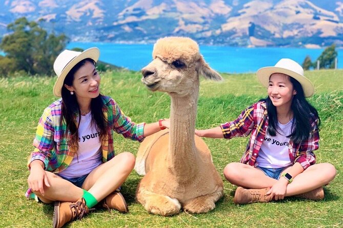 Akaroa Eco-Safari With Alpaca Farm Tour and Wine Tasting - Inclusions and Amenities