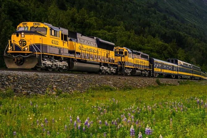 Alaska Railroad Anchorage to Seward Round-Trip Same Day Return - Important Policies